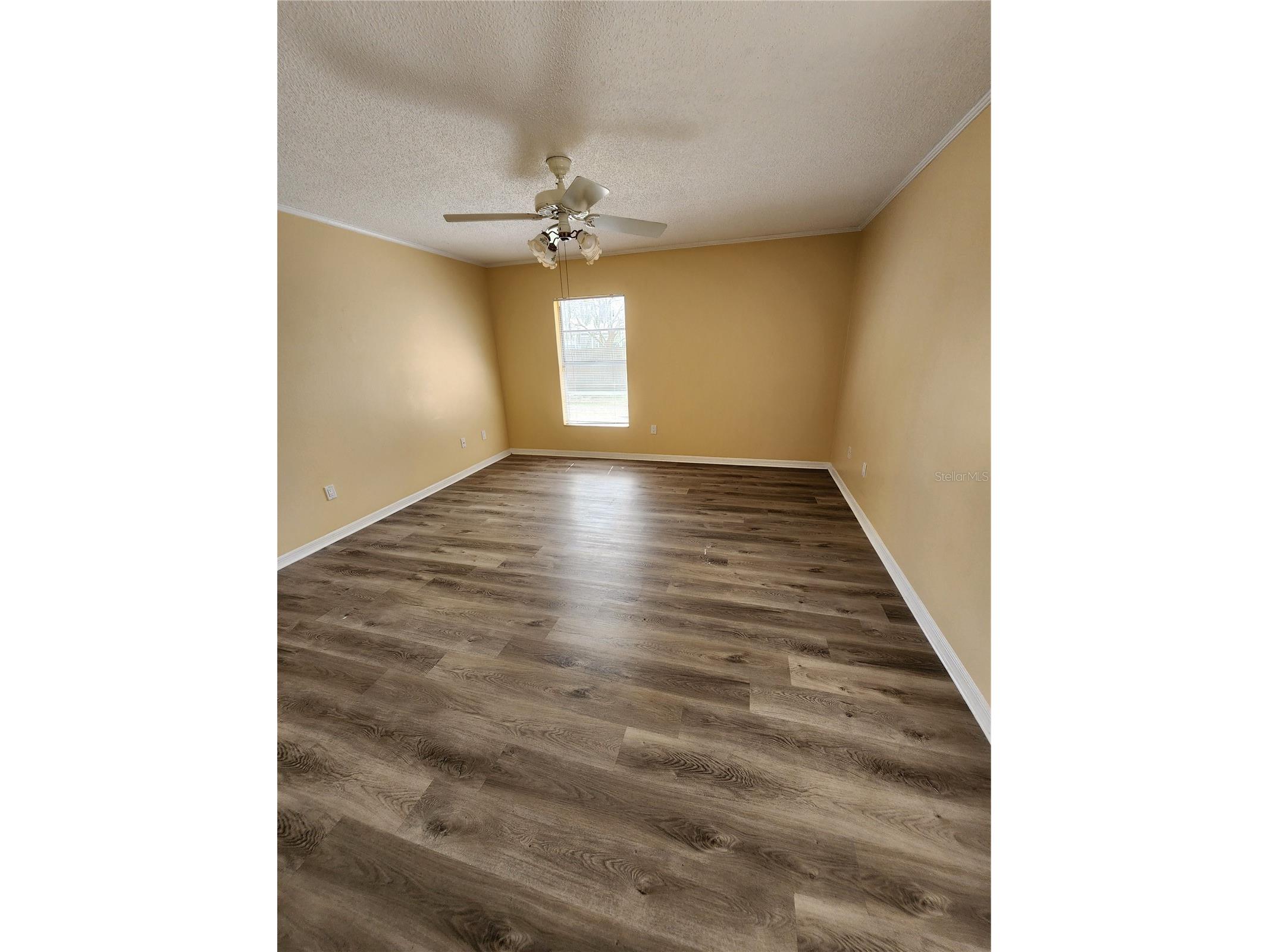 8748 Hampden Drive Tampa FL 33626 TB8483970 image6