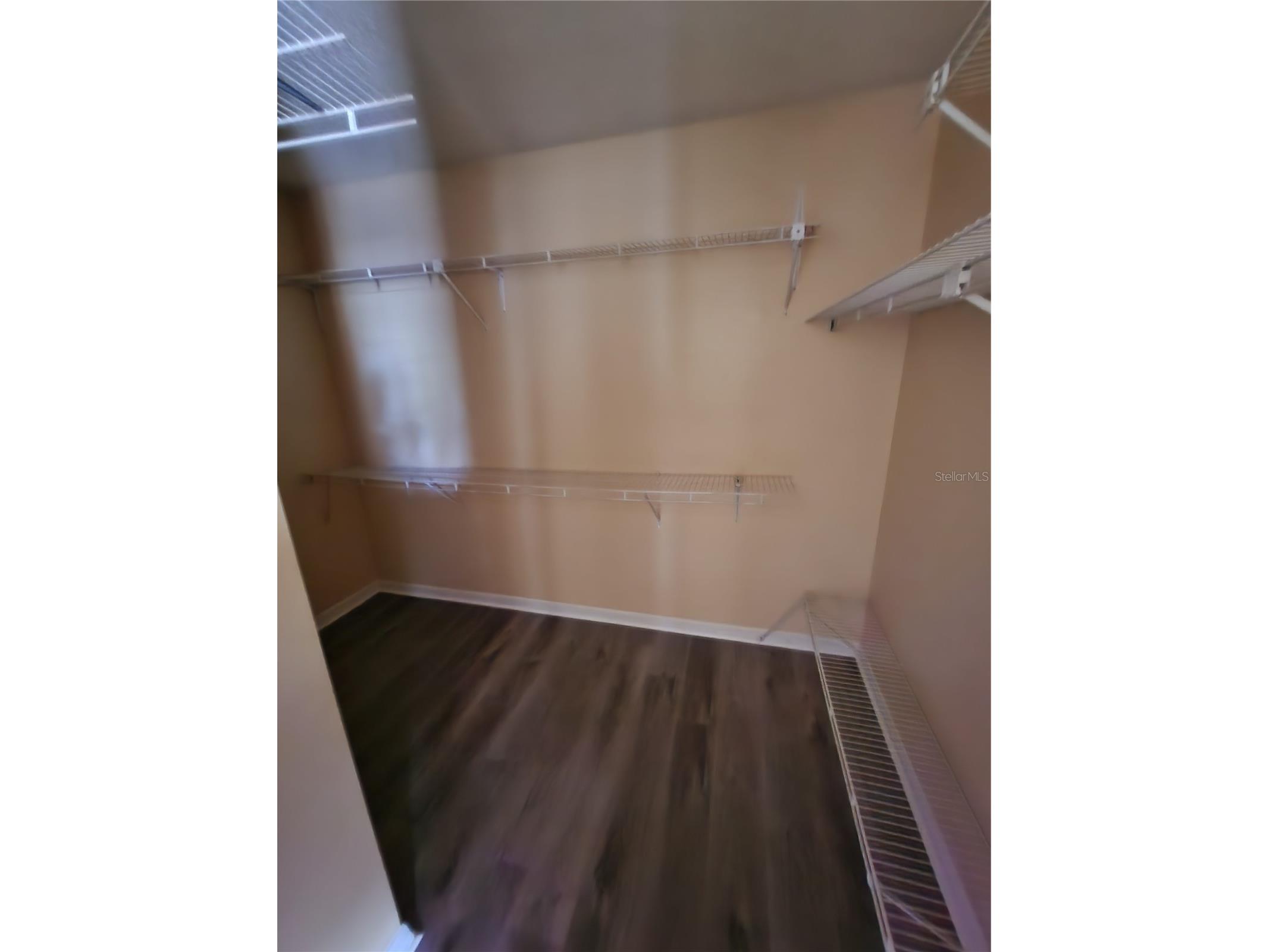 8748 Hampden Drive Tampa FL 33626 TB8483970 image9