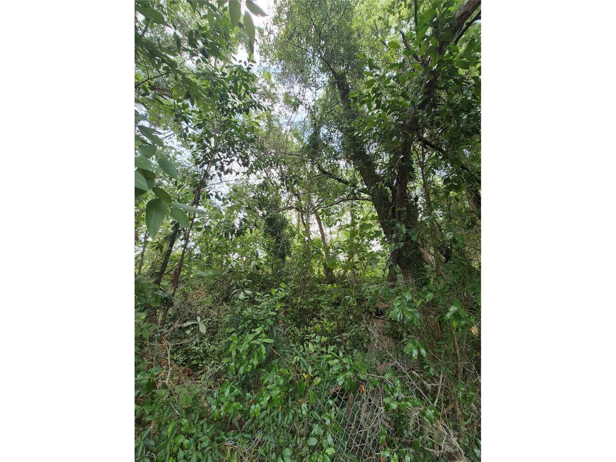 8748 NE Jacksonville Road Anthony FL 32617 GC540447 image1