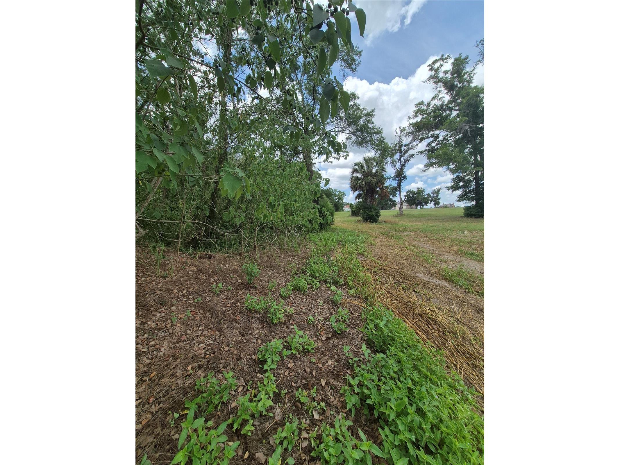 8748 NE Jacksonville Road Anthony FL 32617 GC540447 image2