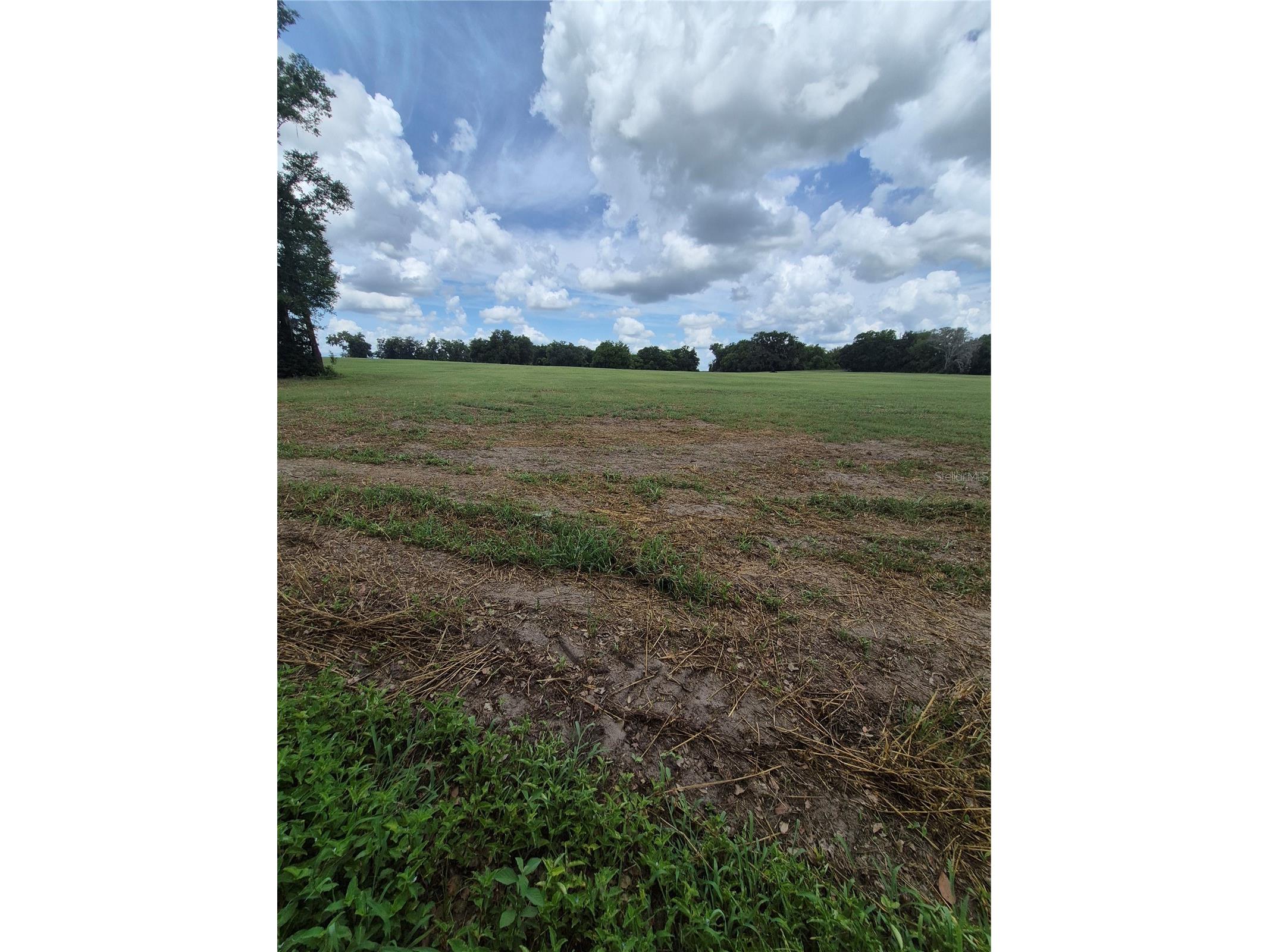 8748 NE Jacksonville Road Anthony FL 32617 GC540447 image3