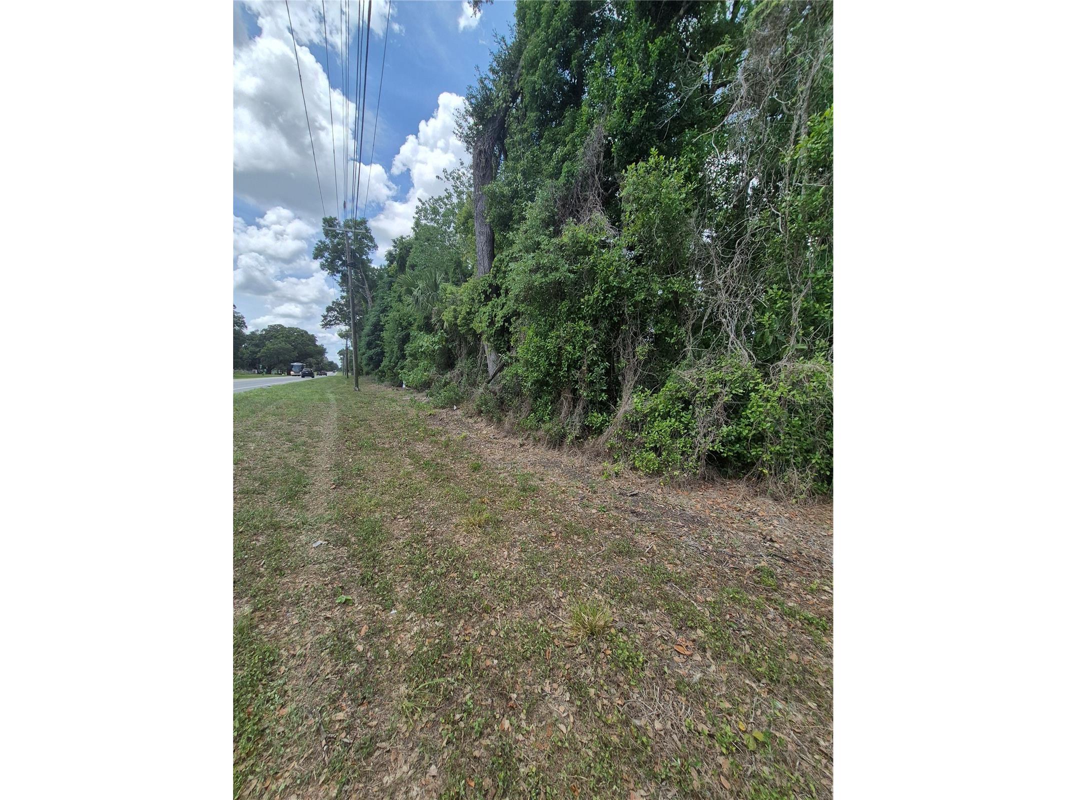 8748 NE Jacksonville Road Anthony FL 32617 GC540447 image4