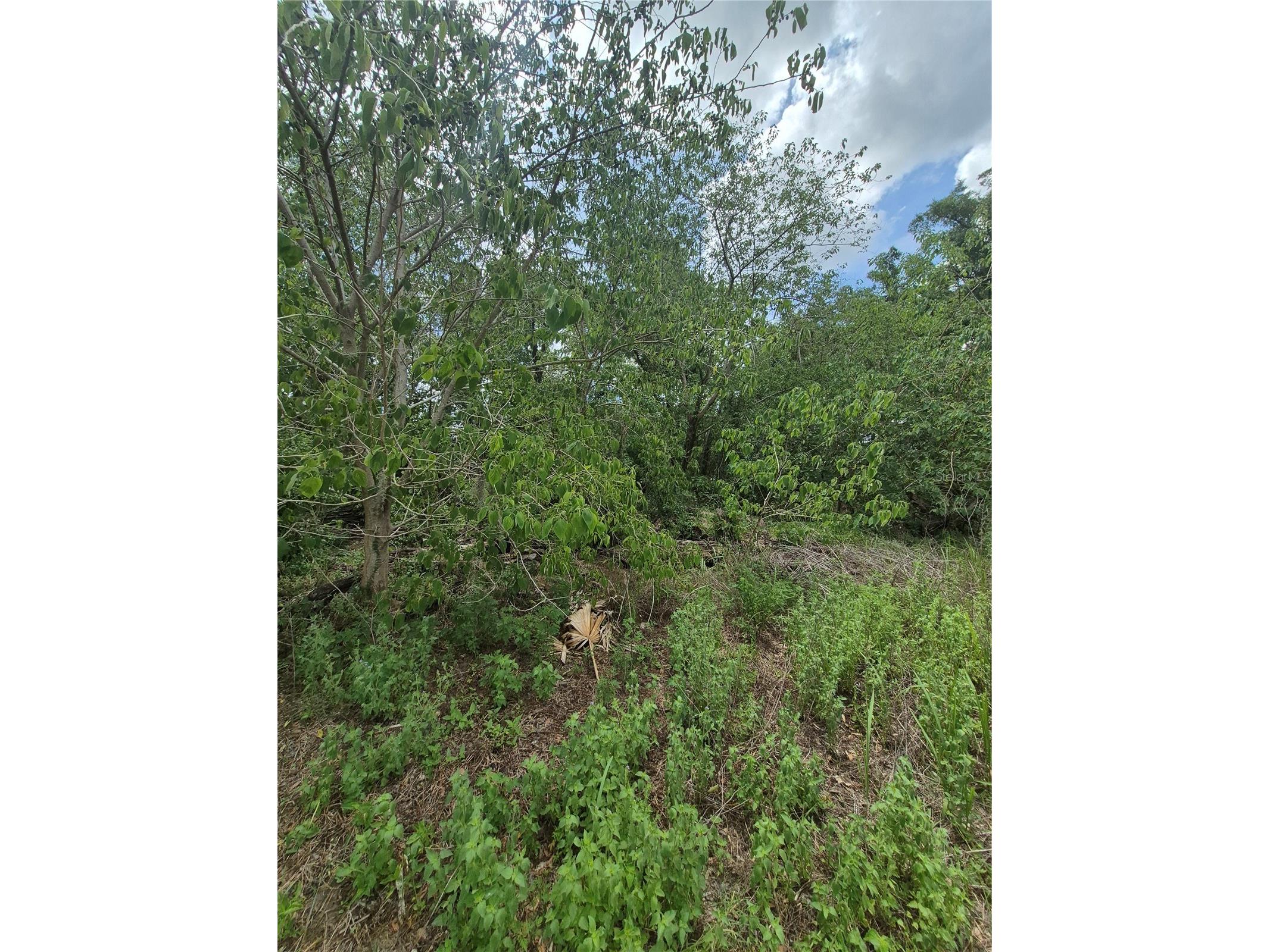 8748 NE Jacksonville Road Anthony FL 32617 GC540447 image6