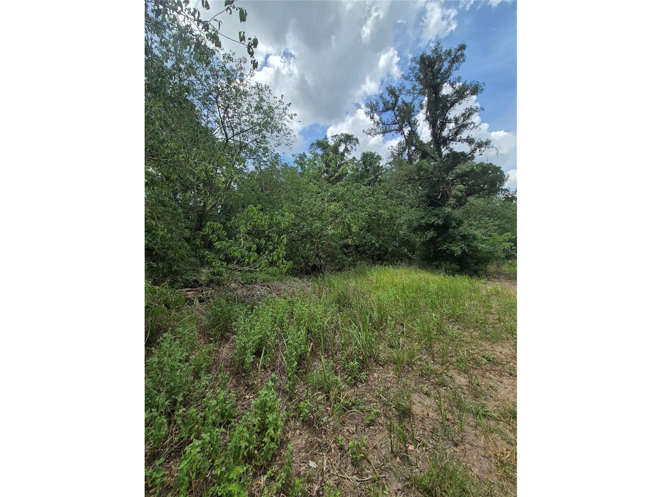8748 NE Jacksonville Road Anthony FL 32617 GC540447 image7