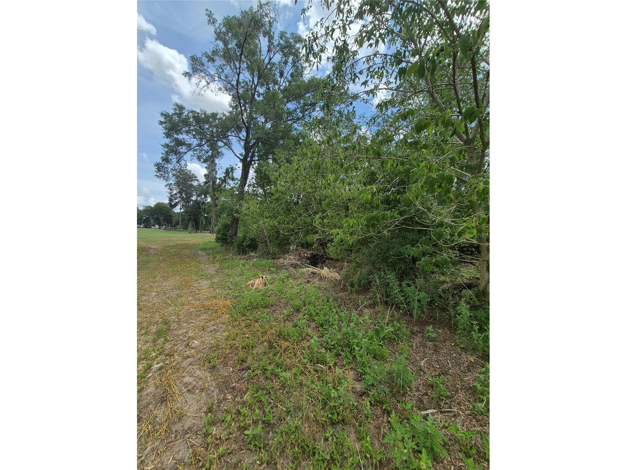 8748 NE Jacksonville Road Anthony FL 32617 GC540447 image8