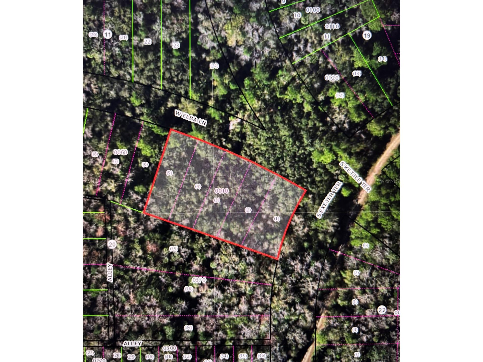 8748 W Elba Place Homosassa FL 34448 W7883365 image1