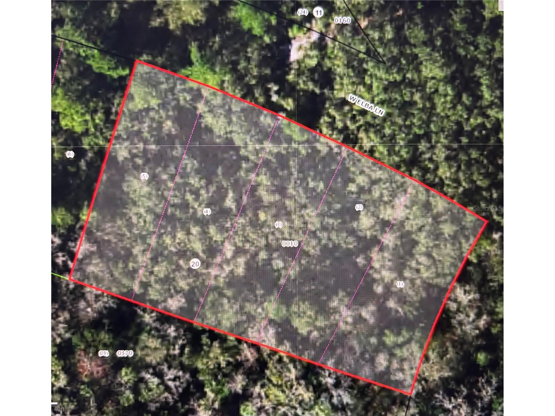 8748 W Elba Place Homosassa FL 34448 W7883365 image3