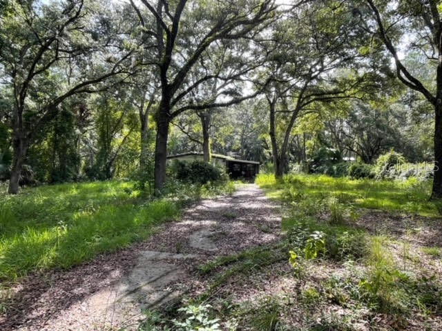 8749 SE 175th Court Ocklawaha FL 32179 OM682672 image1