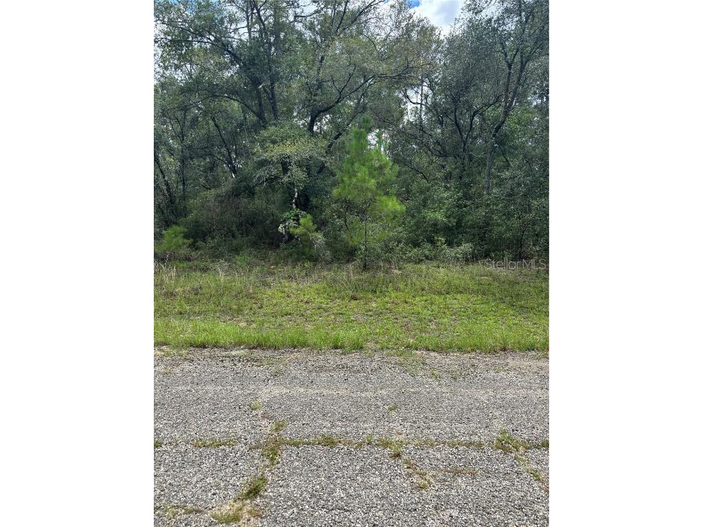 875 E Elston Place Citrus Springs FL 34434 O6339249 image1