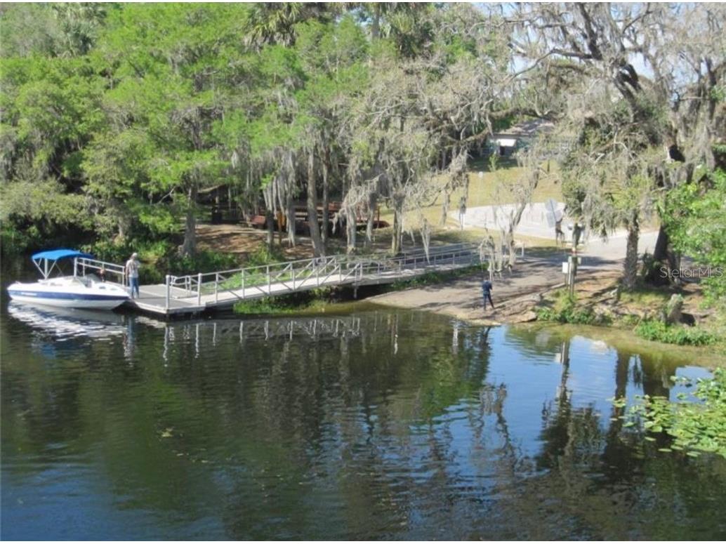 875 E Elston Place Citrus Springs FL 34434 O6339249 image11