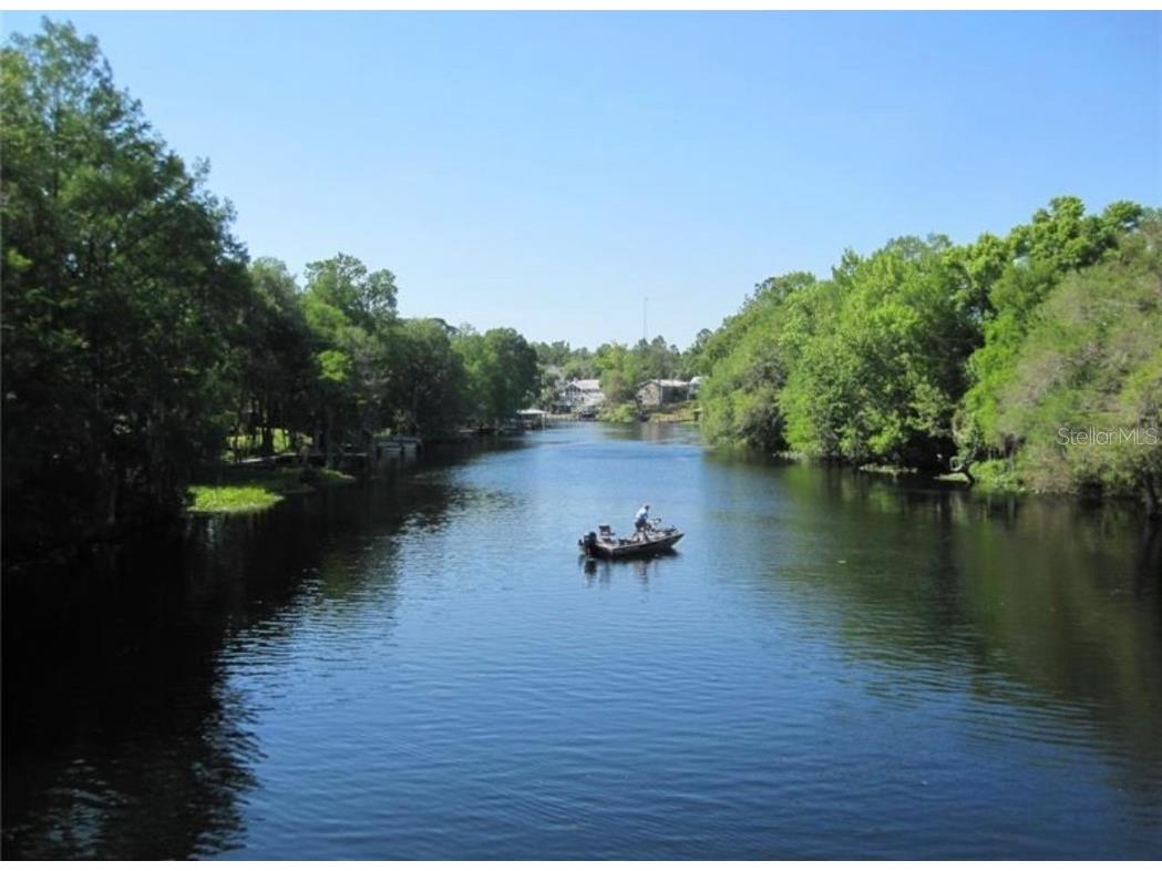 875 E Elston Place Citrus Springs FL 34434 O6339249 image12