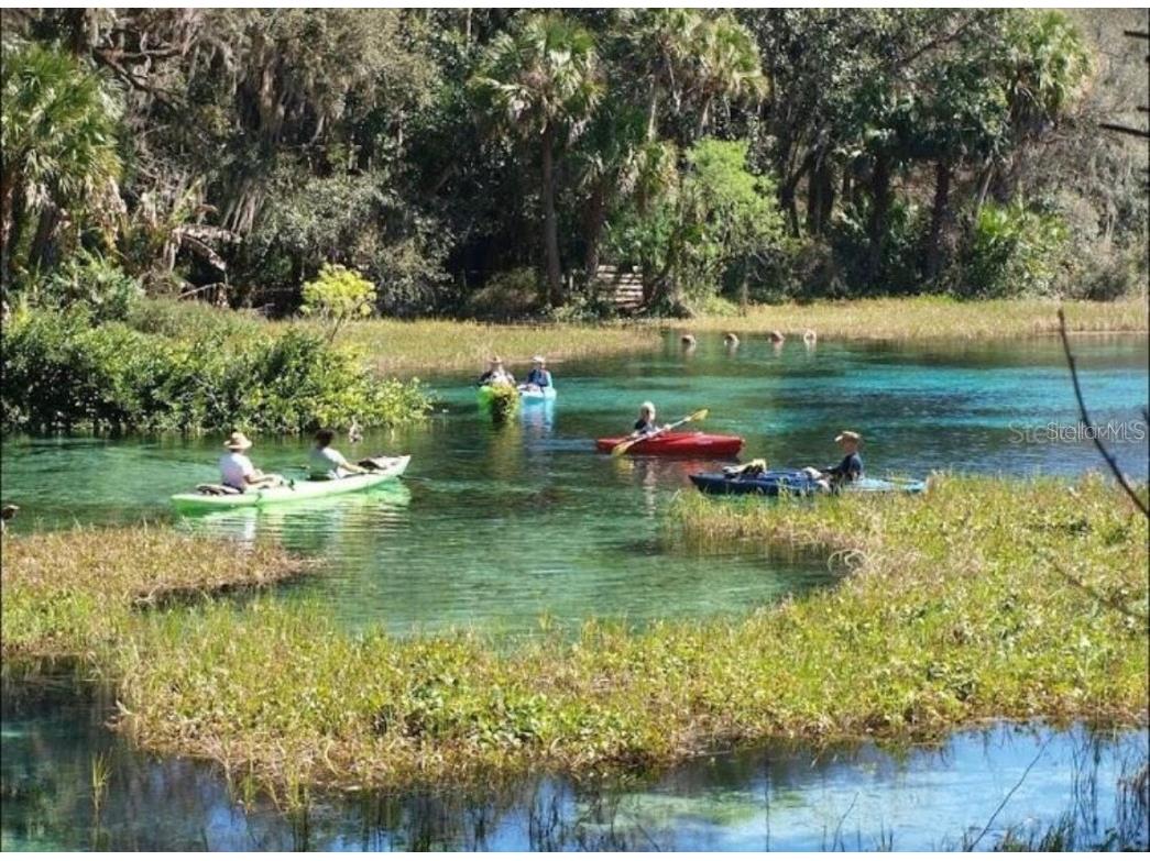 875 E Elston Place Citrus Springs FL 34434 O6339249 image15