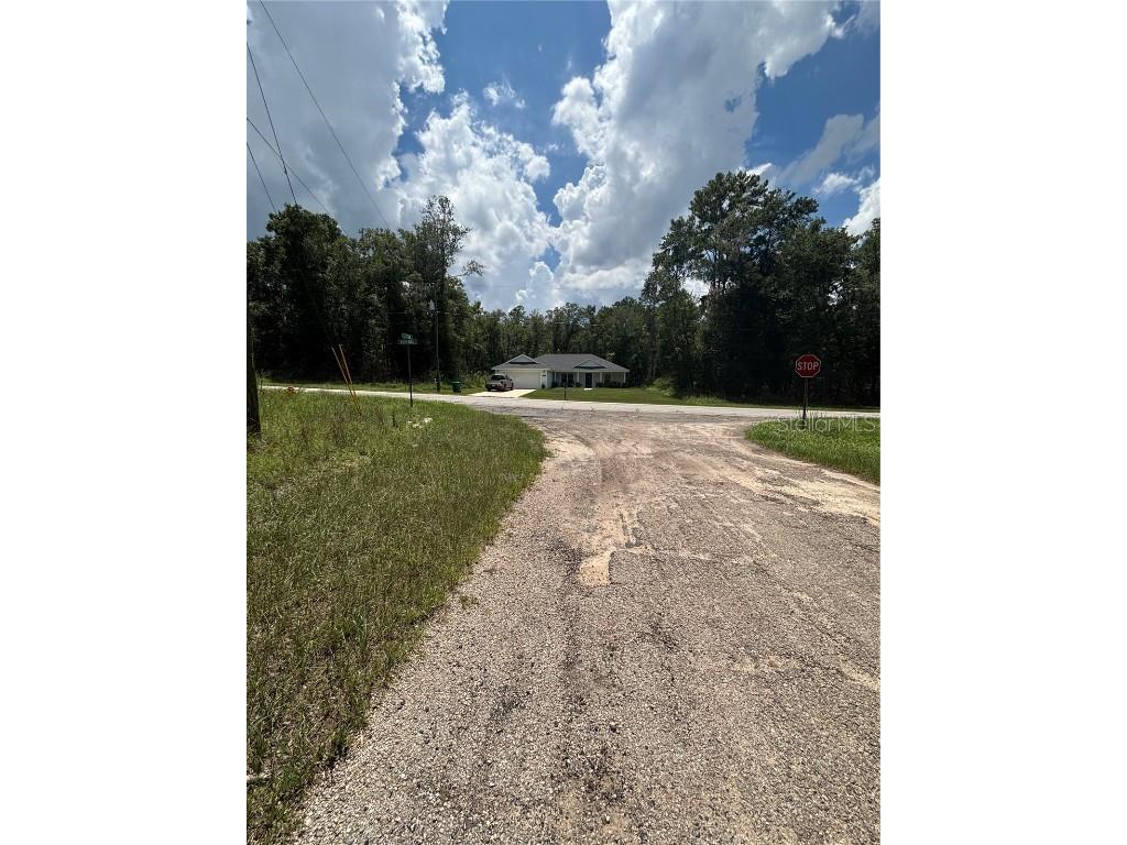 875 E Elston Place Citrus Springs FL 34434 O6339249 image3