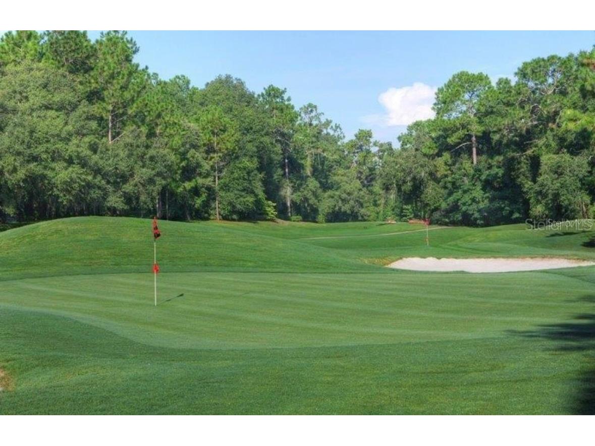 875 E Elston Place Citrus Springs FL 34434 O6339249 image7