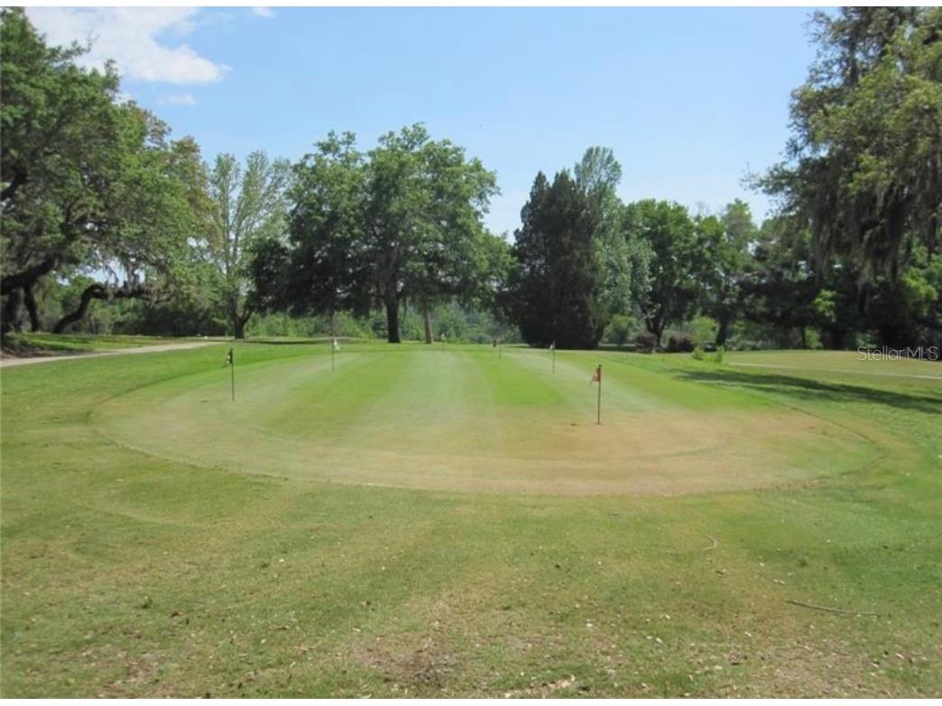 875 E Elston Place Citrus Springs FL 34434 O6339249 image8