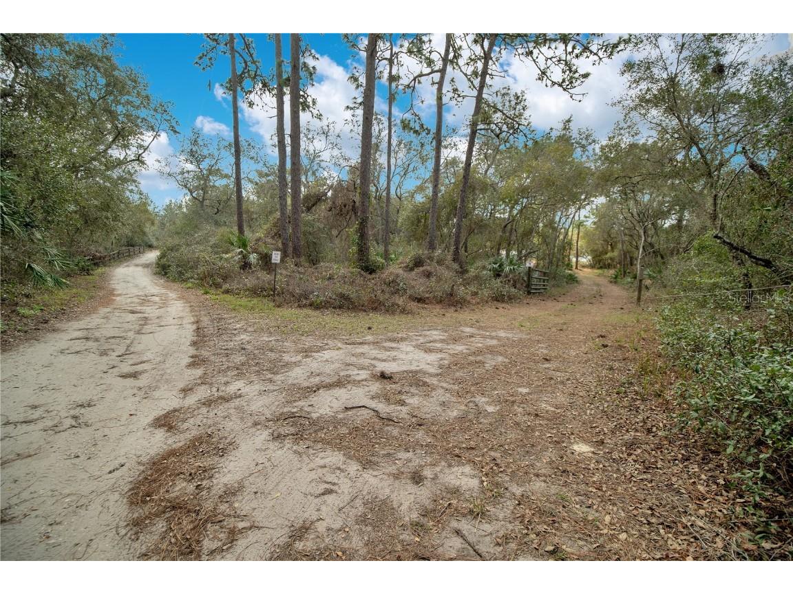 875 Gator Lane Deltona FL 32738 - LAKE BUTLER CHAIN O6240498 image4