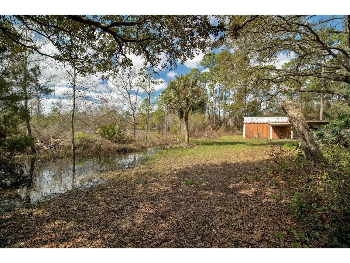 875 Gator Lane Deltona FL 32738 - LAKE BUTLER CHAIN O6240498 image6