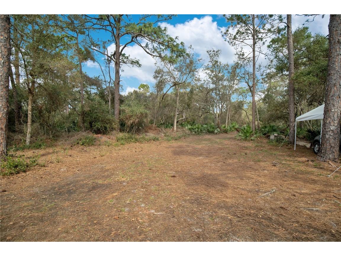 875 Gator Lane Deltona FL 32738 - LAKE BUTLER CHAIN O6240498 image7