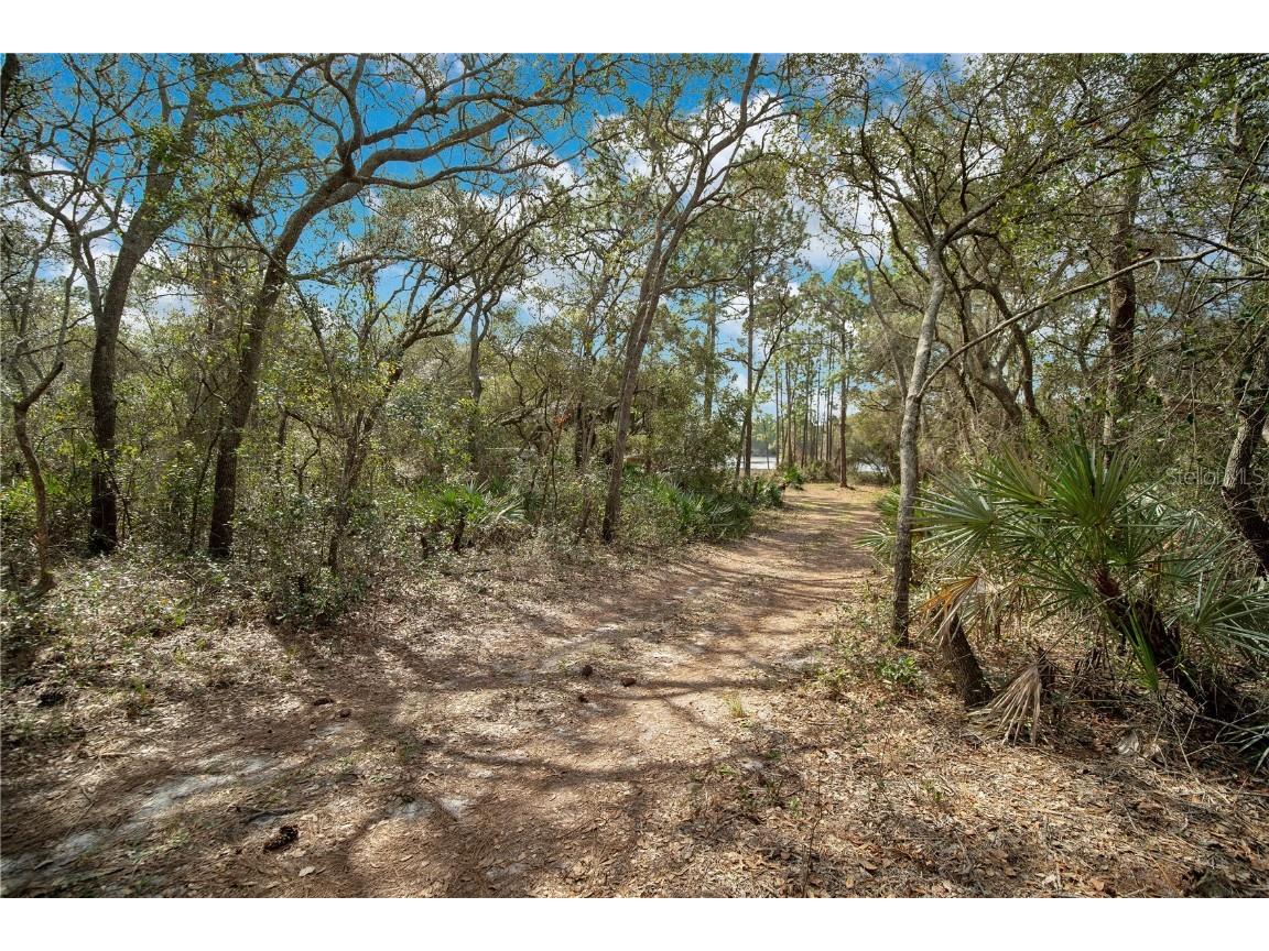 875 Gator Lane Deltona FL 32738 - LAKE BUTLER CHAIN O6240498 image8