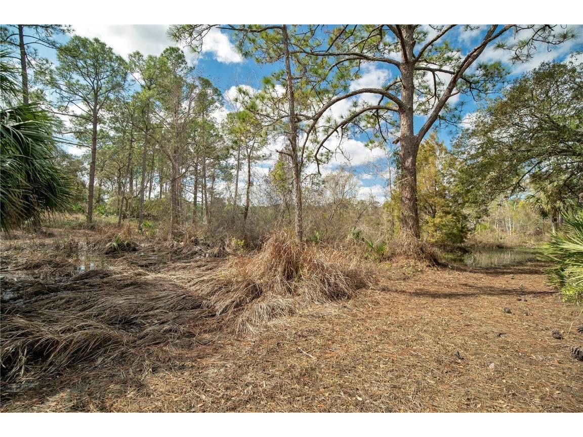 875 Gator Lane Deltona FL 32738 - LAKE BUTLER CHAIN O6240498 image9