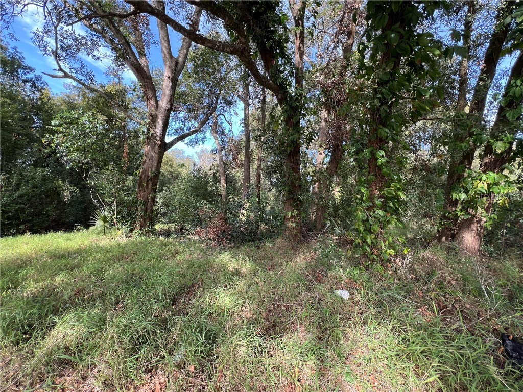 875 Ocoee Apopka Road Apopka FL 32703 O6273195 image3