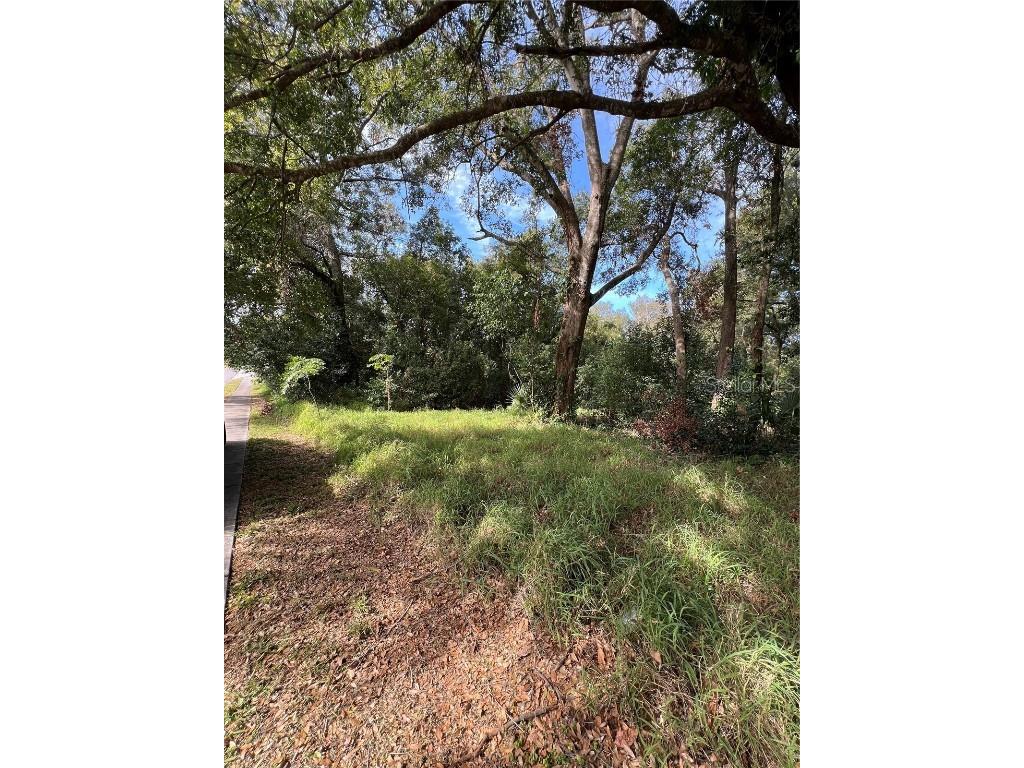 875 Ocoee Apopka Road Apopka FL 32703 O6273195 image4