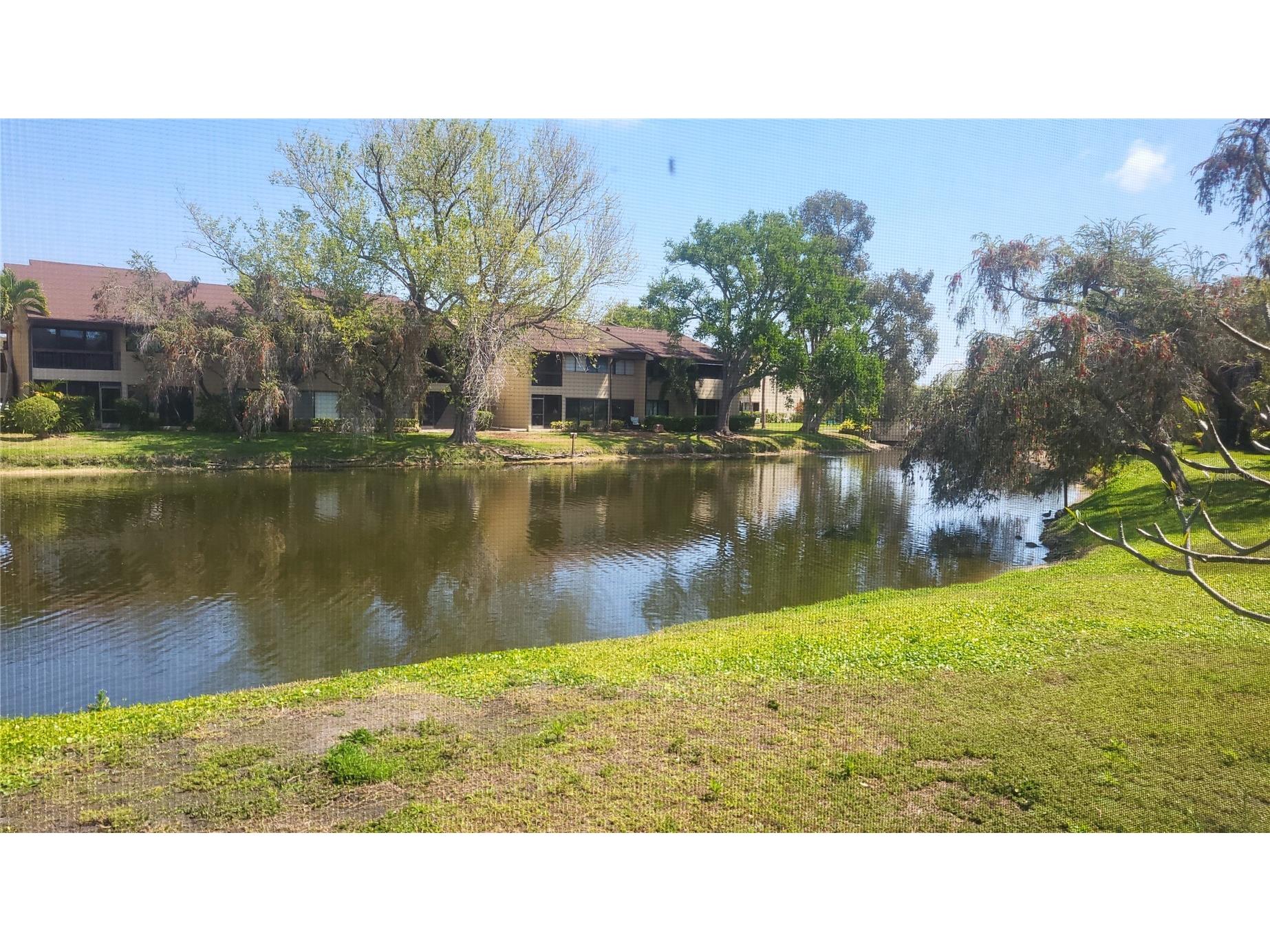 875 S Village Drive N #102 Saint Petersburg FL 33716 TB8493566 image3
