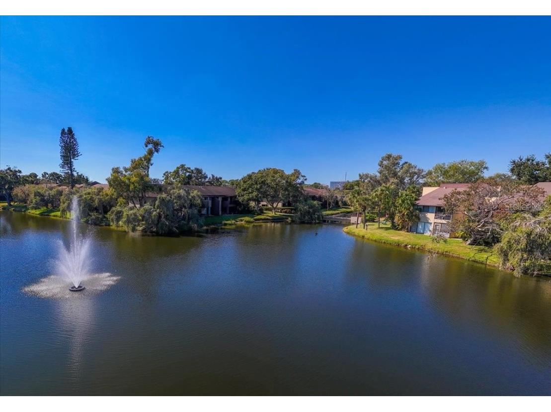 875 S Village Drive N #204 Saint Petersburg FL 33716 TB8448886 image36