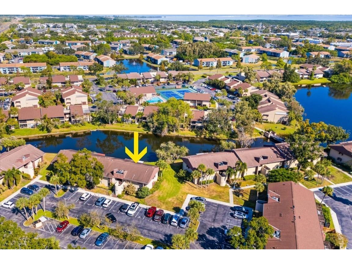 875 S Village Drive N #204 Saint Petersburg FL 33716 TB8448886 image41