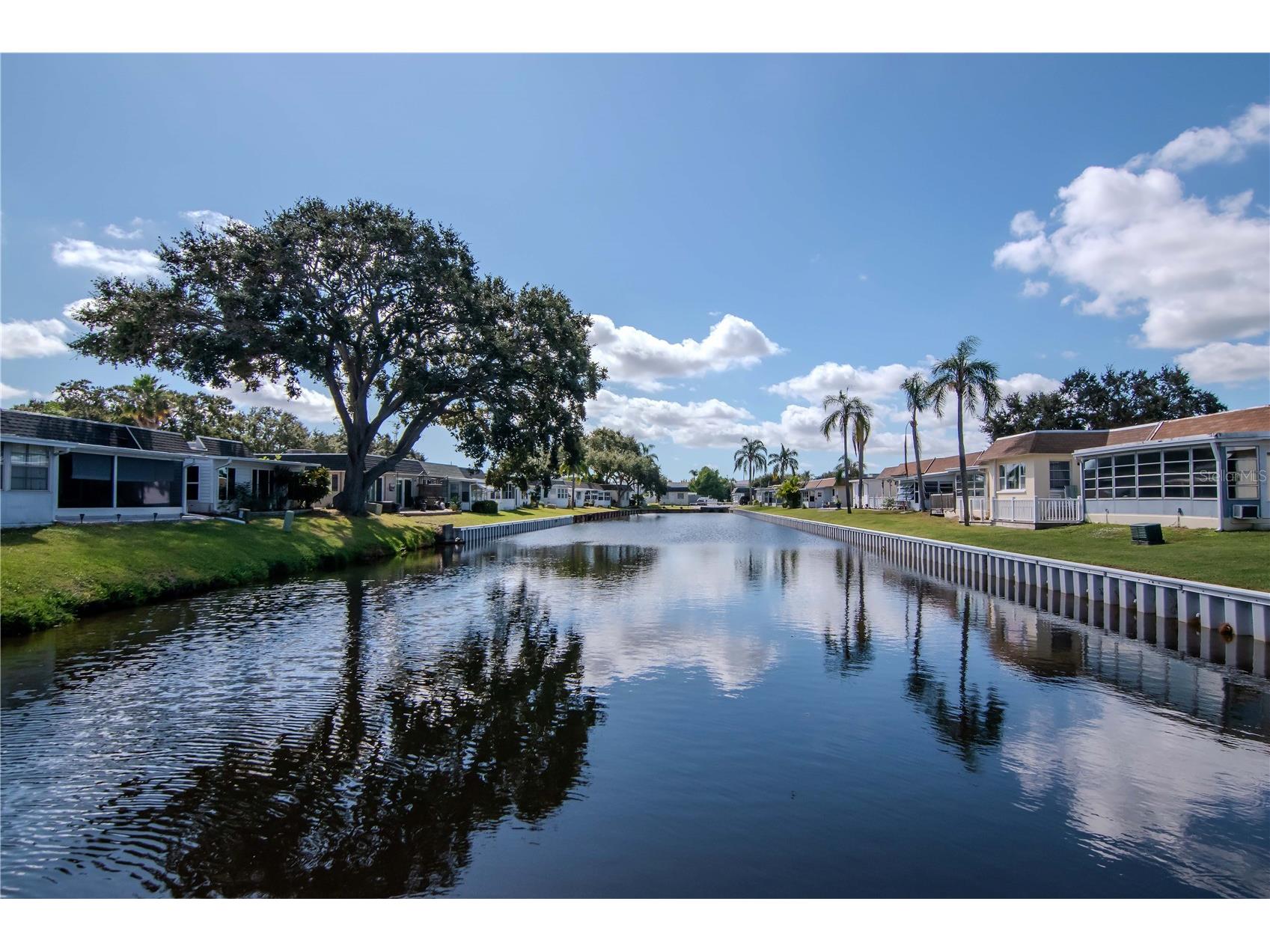 875 Sky Loch Drive S Dunedin FL 34698 TB8439969 image26