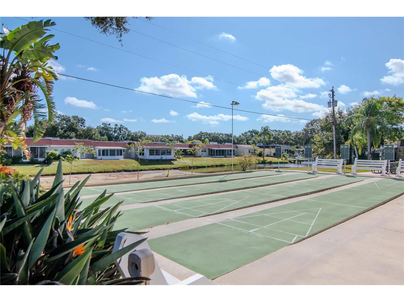 875 Sky Loch Drive S Dunedin FL 34698 TB8439969 image34