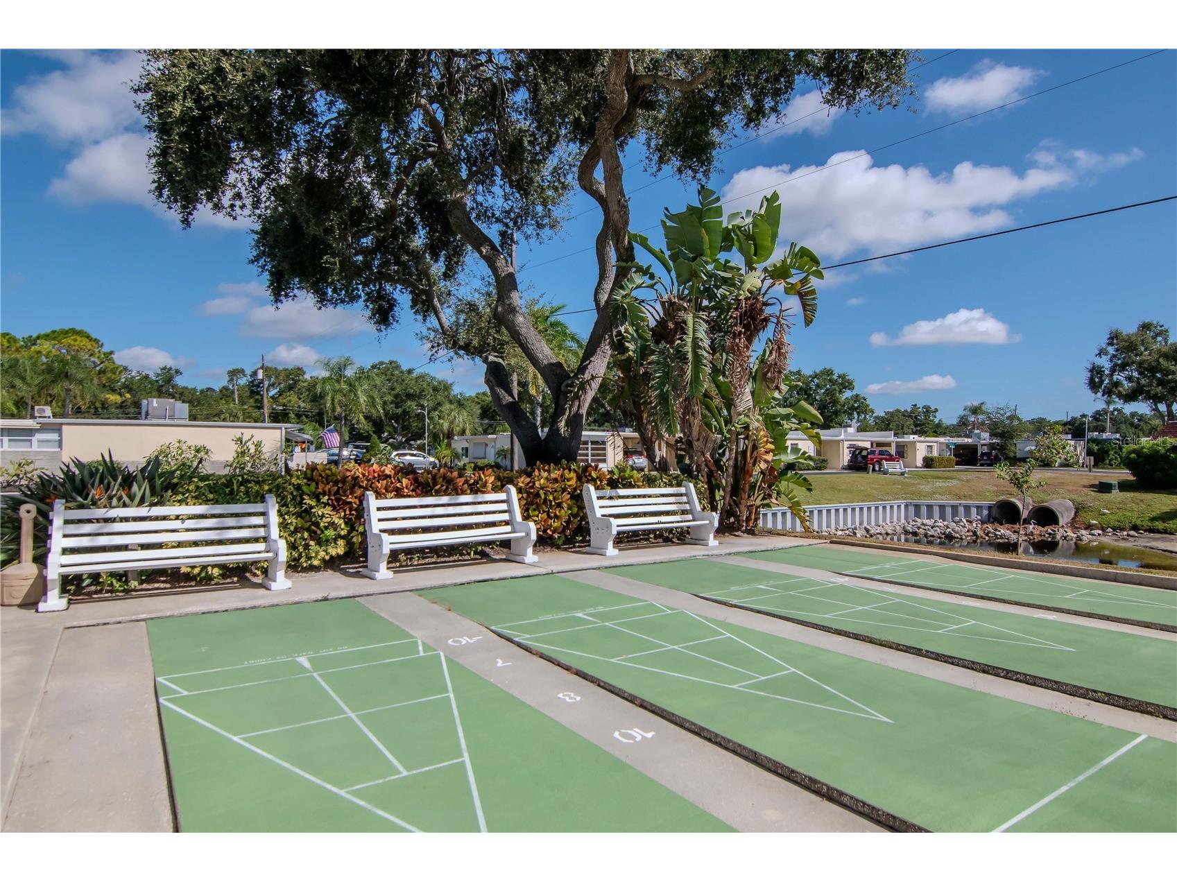 875 Sky Loch Drive S Dunedin FL 34698 TB8439969 image35