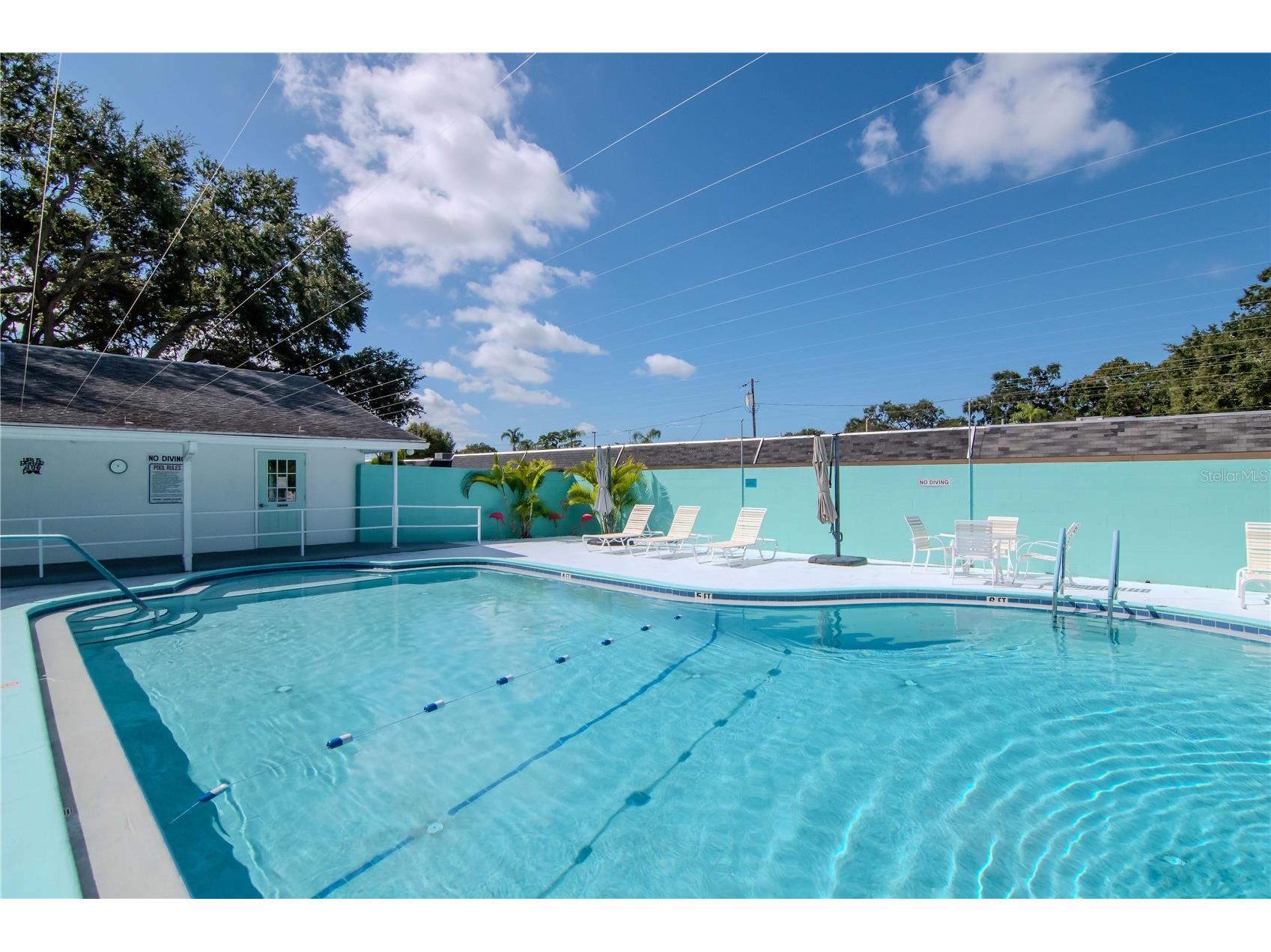 875 Sky Loch Drive S Dunedin FL 34698 TB8439969 image37