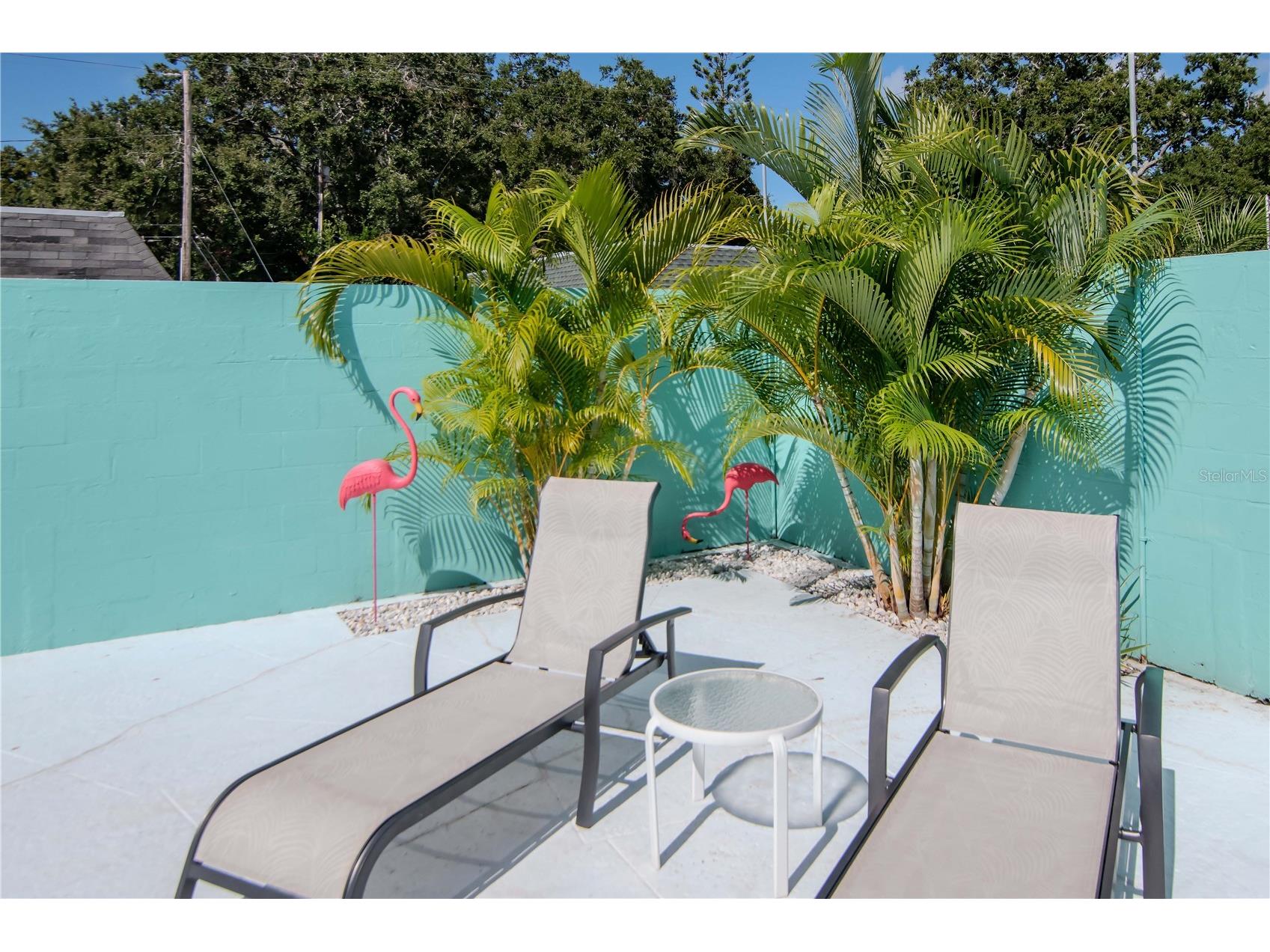 875 Sky Loch Drive S Dunedin FL 34698 TB8439969 image39