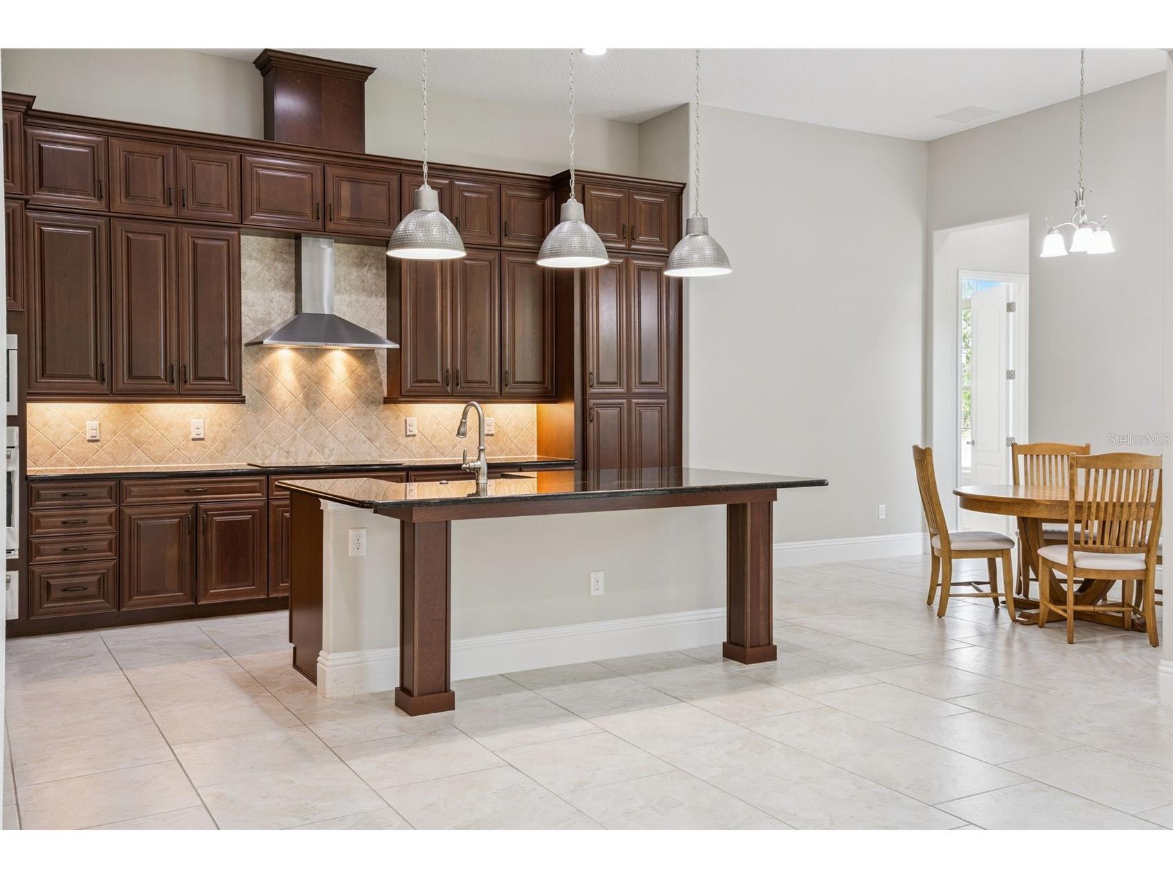 8750 Bayview Crossing Drive Winter Garden FL 34787 - HICKORYNUT LAKE O6416046 image17