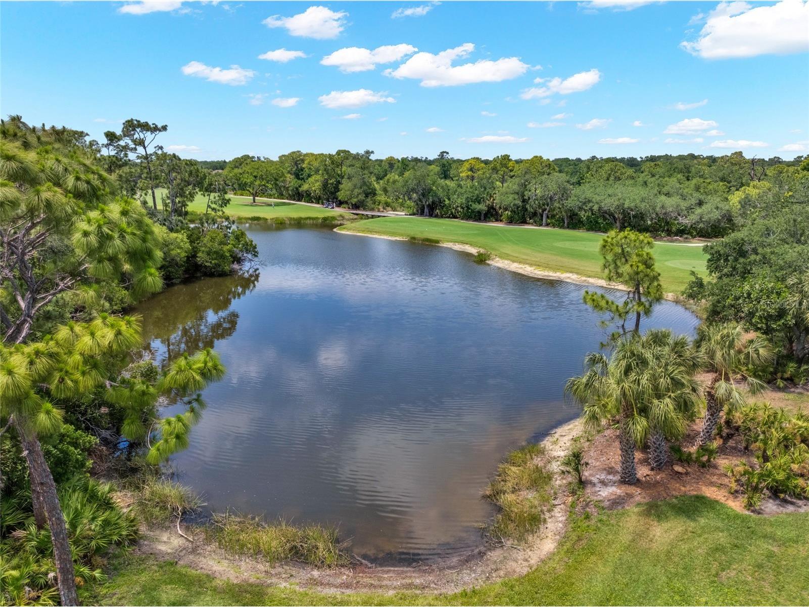 8750 Olde Hickory Avenue #9308 Sarasota FL 34238 A4692835 image65