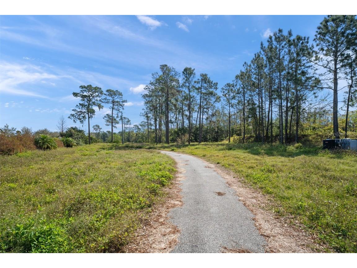 8750 Seidel Road Winter Garden FL 34787 - LAKE HUCKLEBERRY O6287324 image11