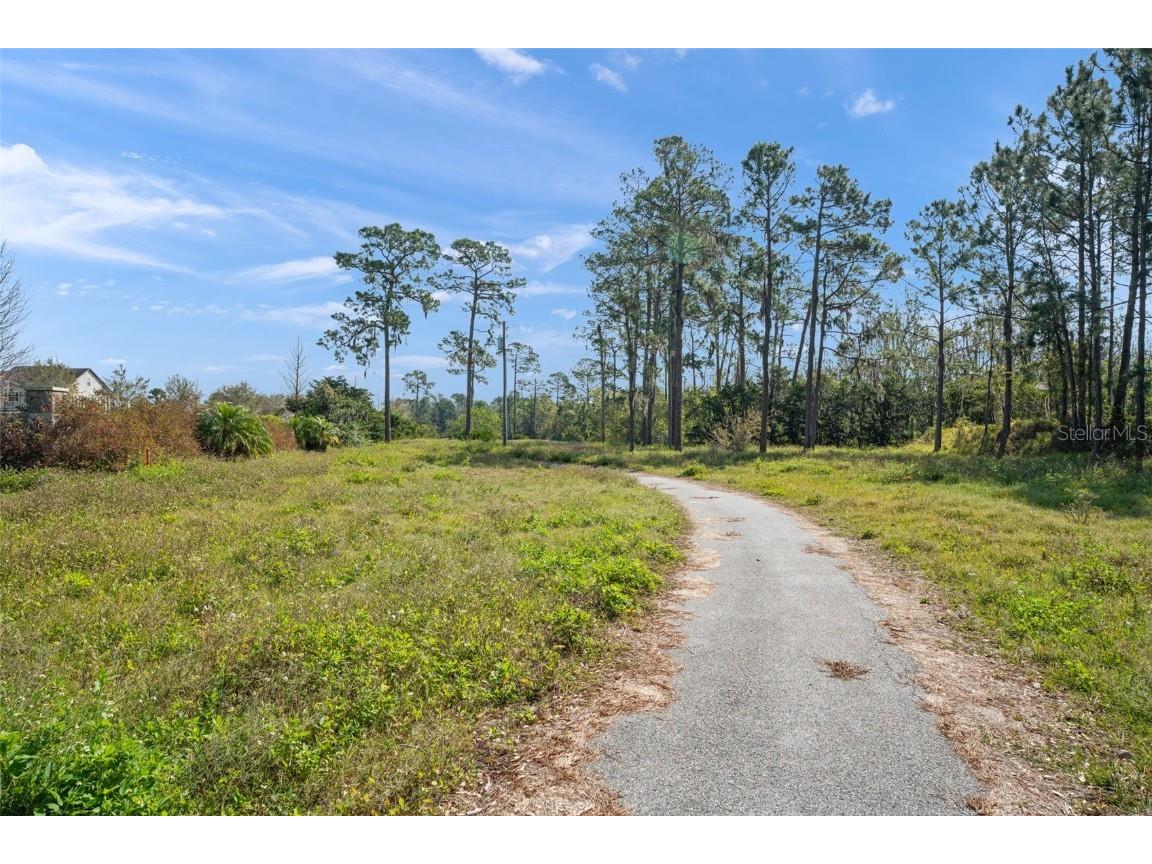 8750 Seidel Road Winter Garden FL 34787 - LAKE HUCKLEBERRY O6287324 image12