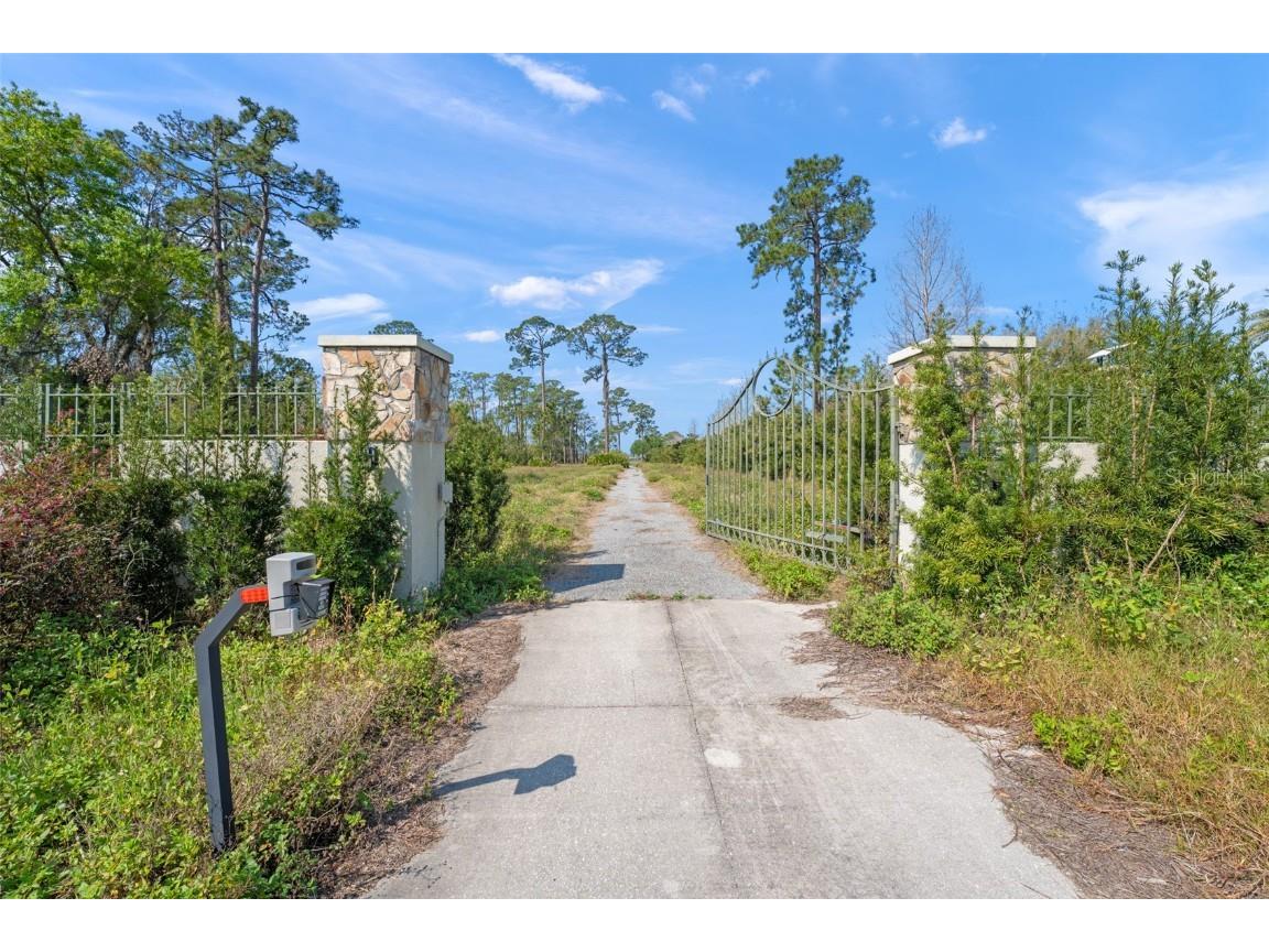 8750 Seidel Road Winter Garden FL 34787 - LAKE HUCKLEBERRY O6287324 image2