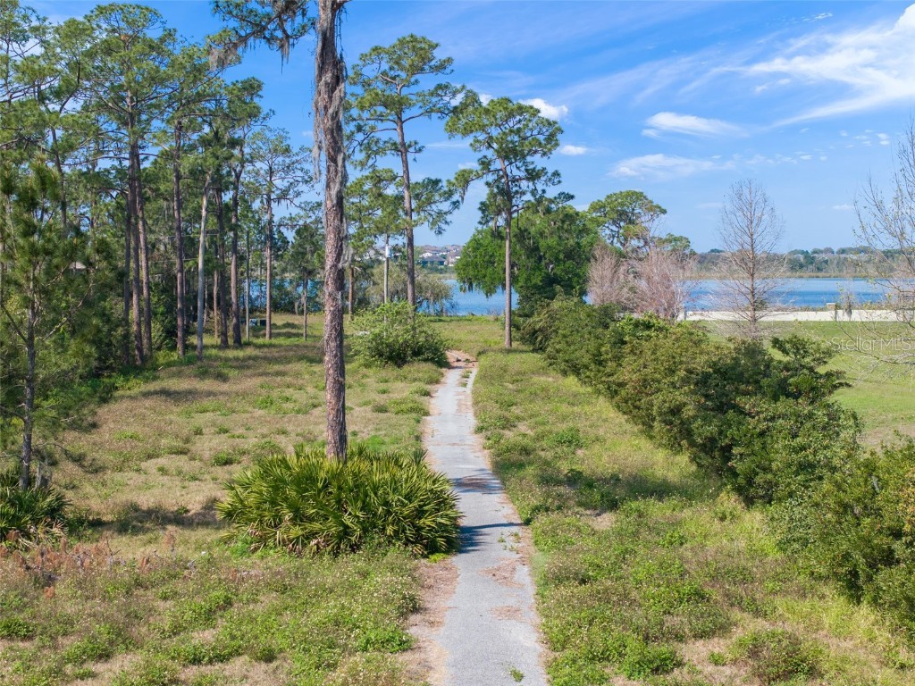 8750 Seidel Road Winter Garden FL 34787 - LAKE HUCKLEBERRY O6287324 image8