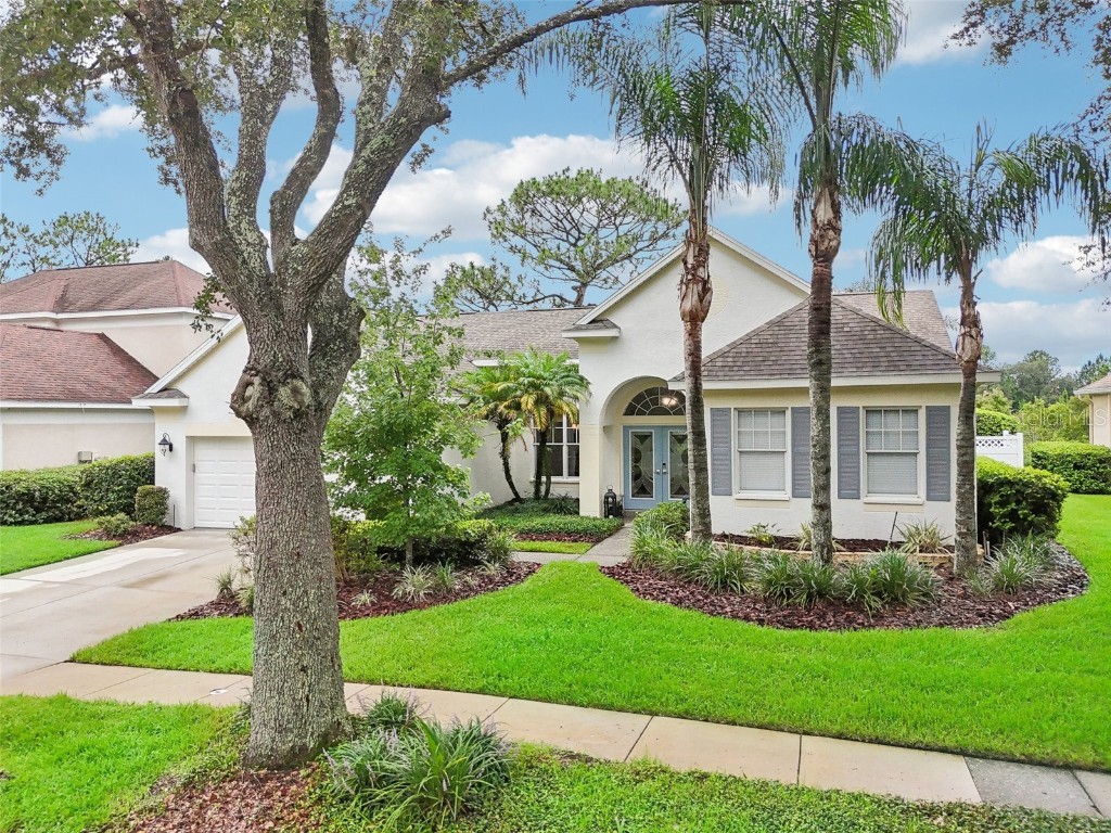 8751 Ashworth Drive Tampa FL 33647 T3541903 image1