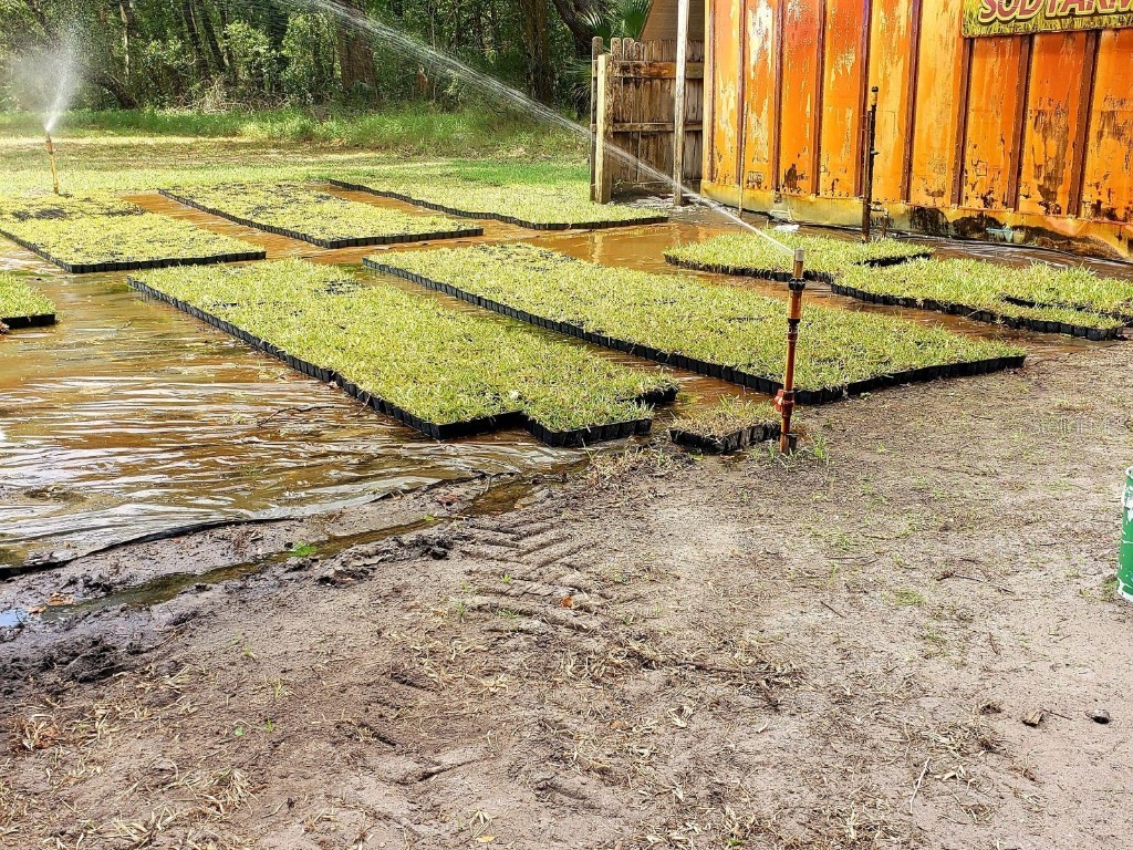 8751 Ridge Rd New Port Richey FL 34654 T3439458 image4