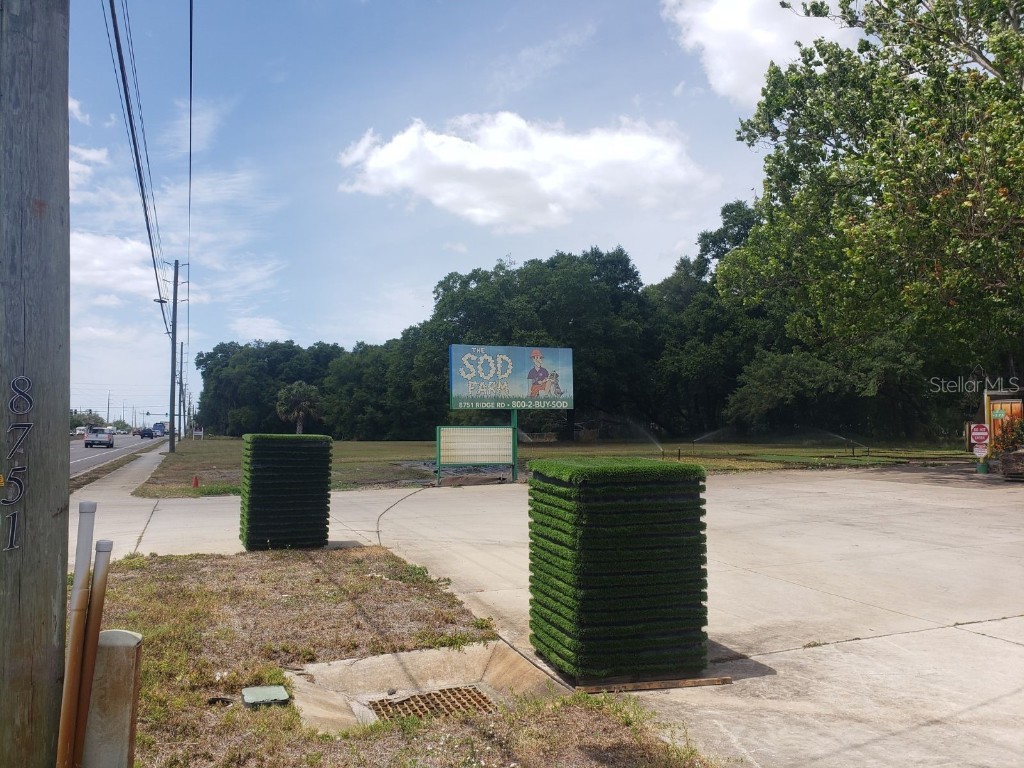 8751 Ridge Rd New Port Richey FL 34654 T3439458 image9