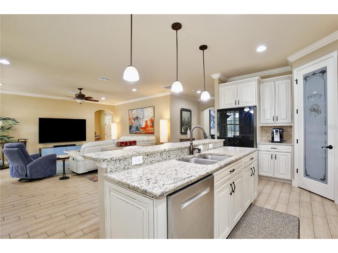 8752 Lookout Pointe Drive Windermere FL 34786 O6322639 image15