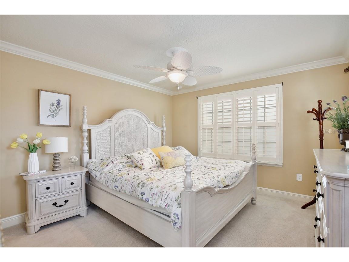 8752 Lookout Pointe Drive Windermere FL 34786 O6322639 image28