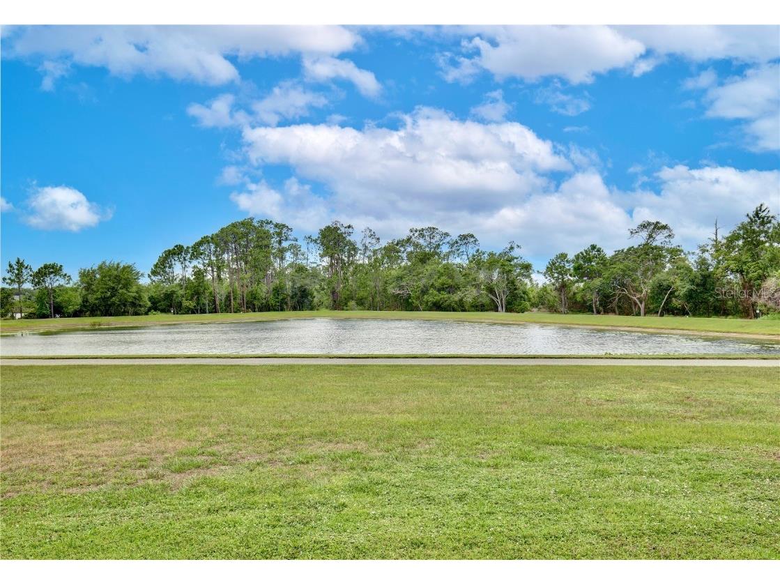 8752 Lookout Pointe Drive Windermere FL 34786 O6322639 image39