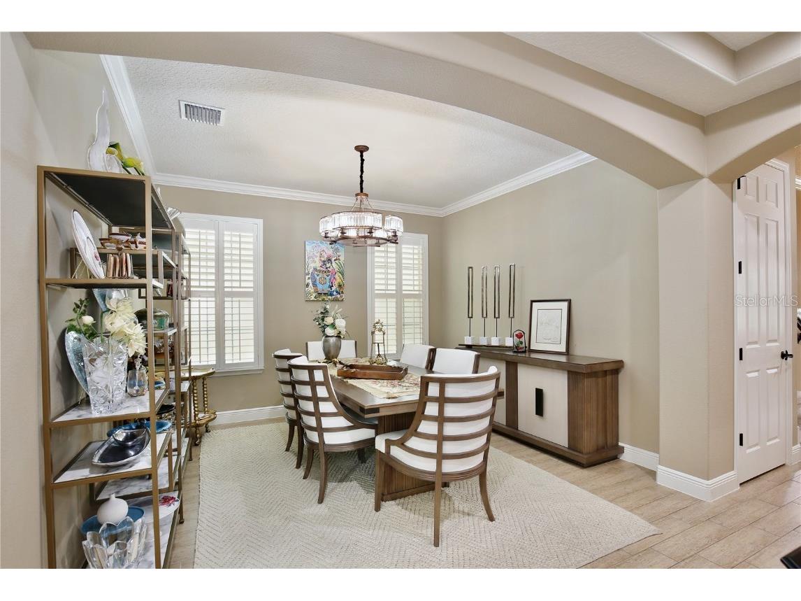 8752 Lookout Pointe Drive Windermere FL 34786 O6322639 image6