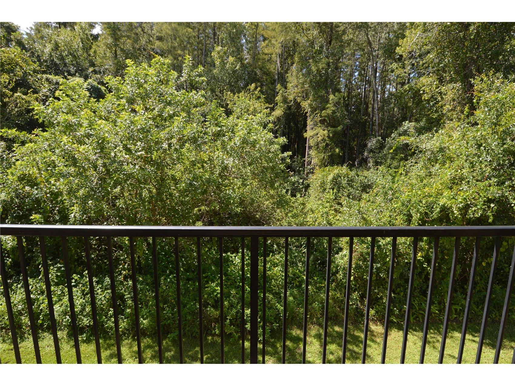 8752 Mallard Reserve Drive #203 Tampa FL 33614 TB8526270 image45