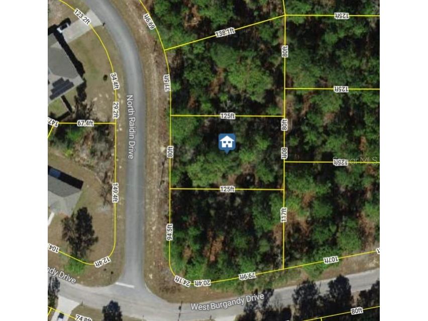 8753 N Raidin Drive Citrus Springs FL 34433 W7878994 image1