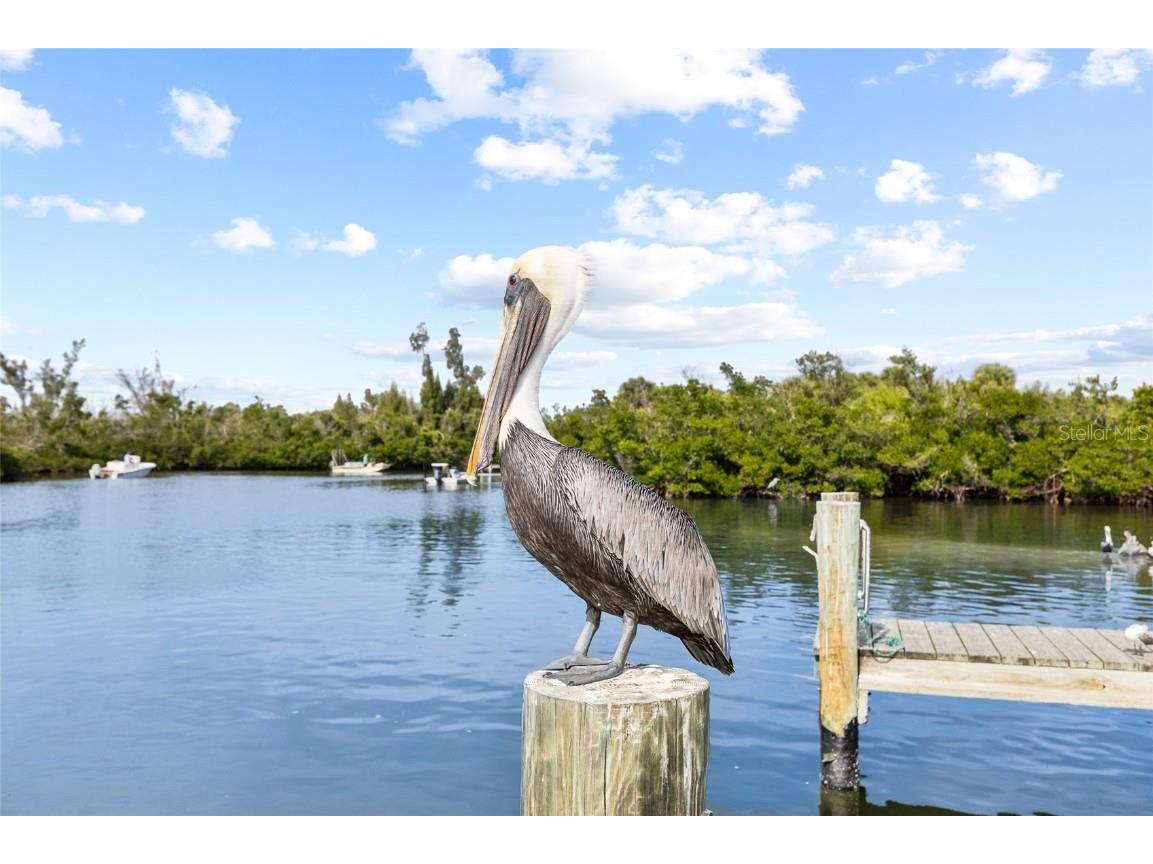 8754 King Street Placida FL 33946 - GULF OF AMERICA C7508239 image60